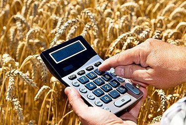 Снижена налоговая нагрузка на малый бизнес в сельском хозяйстве 